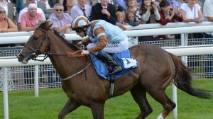 horse-racing-day-one-york-racecourse-caspian-prince-york_3339394