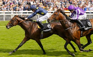 Storm The Stars - Pat Cosgrave wins from Bondi Beach - Joseph O'Brien The Betway Great Voltigeur Stakes (Group 2) (Colts & Geldings) York 19/8/2015 ©Cranhamphoto.com