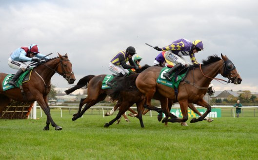 skysports-silsol-ballyoptic-the-romford-pele-wetherby_3819514